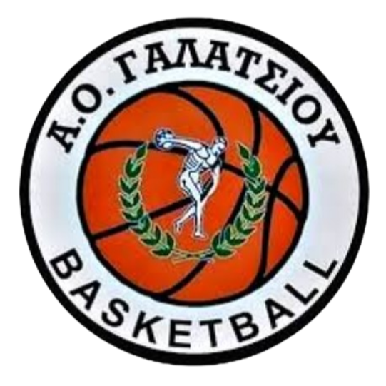 https://img.szgyzszx.com/img/basketball/team/99aa3f28c95a20cc802a5f1a5af87719.png