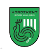 https://img.szgyzszx.com/img/football/team/3882641c32763fa14dd604e69c8ec31e.png