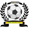 https://img.szgyzszx.com/img/football/team/6dc6d59af2f0962597b412473a6708ee.png