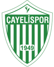 https://img.szgyzszx.com/img/football/team/98ef16297a173b12921045619237aea5.png