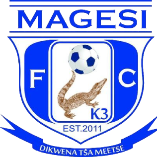 https://img.szgyzszx.com/img/football/team/dc1df1e4722068b08e2fcddeeab4e7af.png